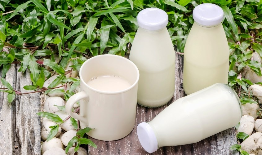 Sữa nguyên kem tách béo là sữa được chiết xuất 100% từ sữa bò nguyên chất